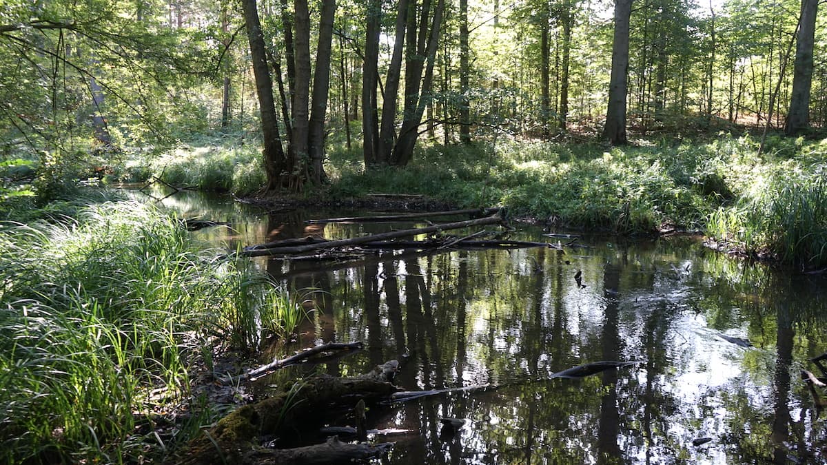 Seenland Oder-Spree, Märkische Schweiz, Stobber, Stöbber. Foto: Beate Ziehres