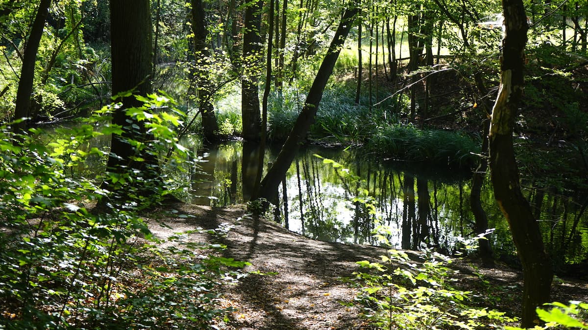 Seenland Oder-Spree, Märkische Schweiz, Stobber, Stöbber. Foto: Beate Ziehres