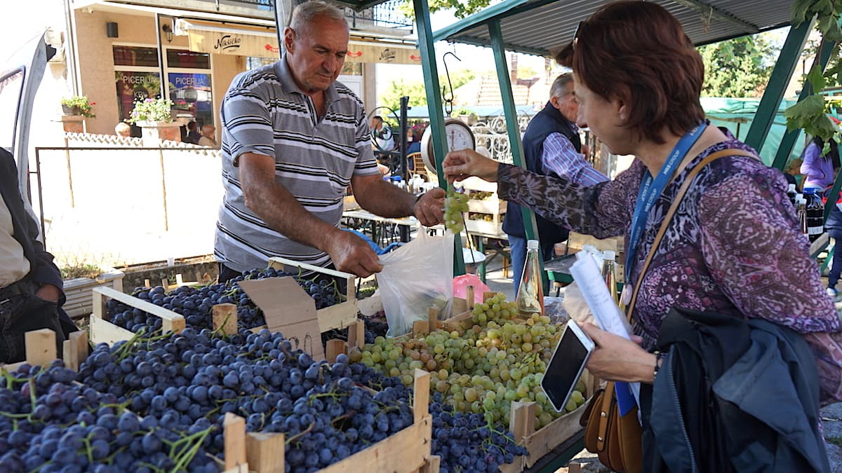 Serbische Spezialitäten: Weintrauben auf dem Topola Weinfestival, Serbien. Foto: Beate Ziehres