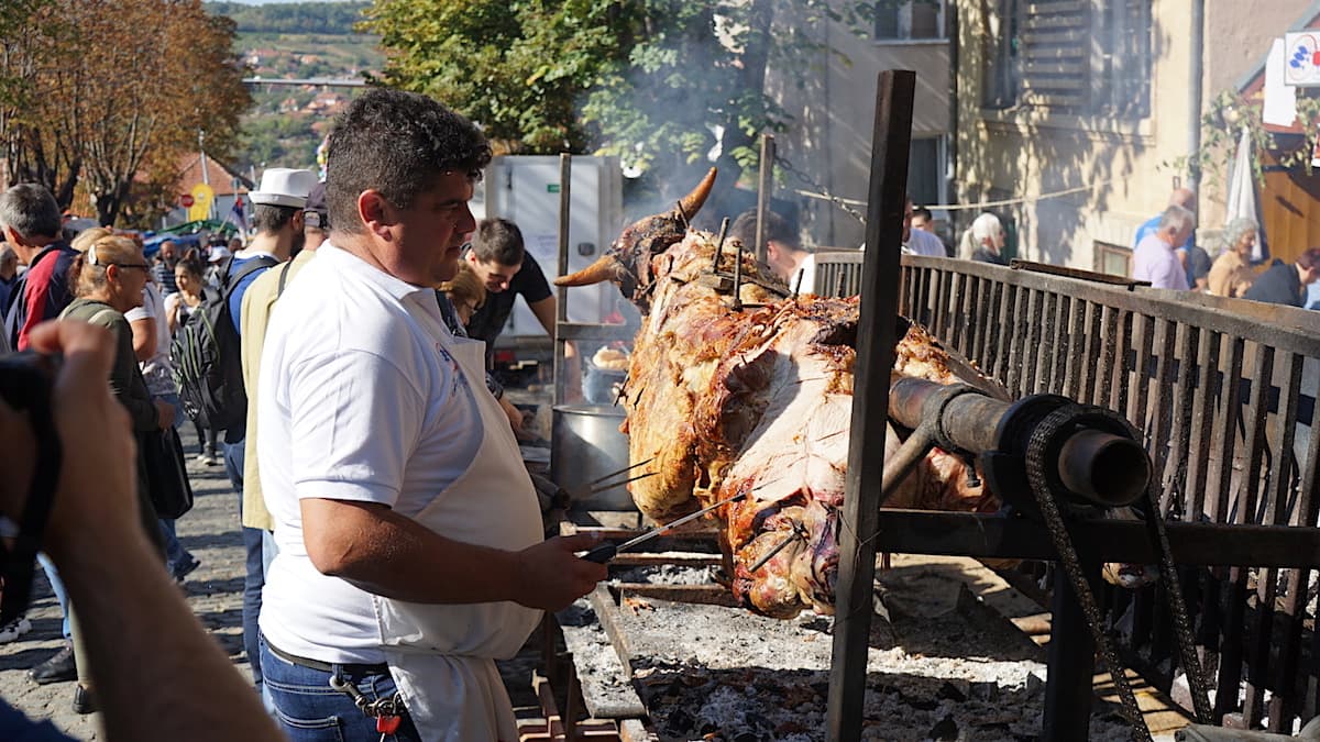 Serbische Küche: Ochse am Spieß auf dem Topola Weinfestival, Serbien. Foto: Beate Ziehres