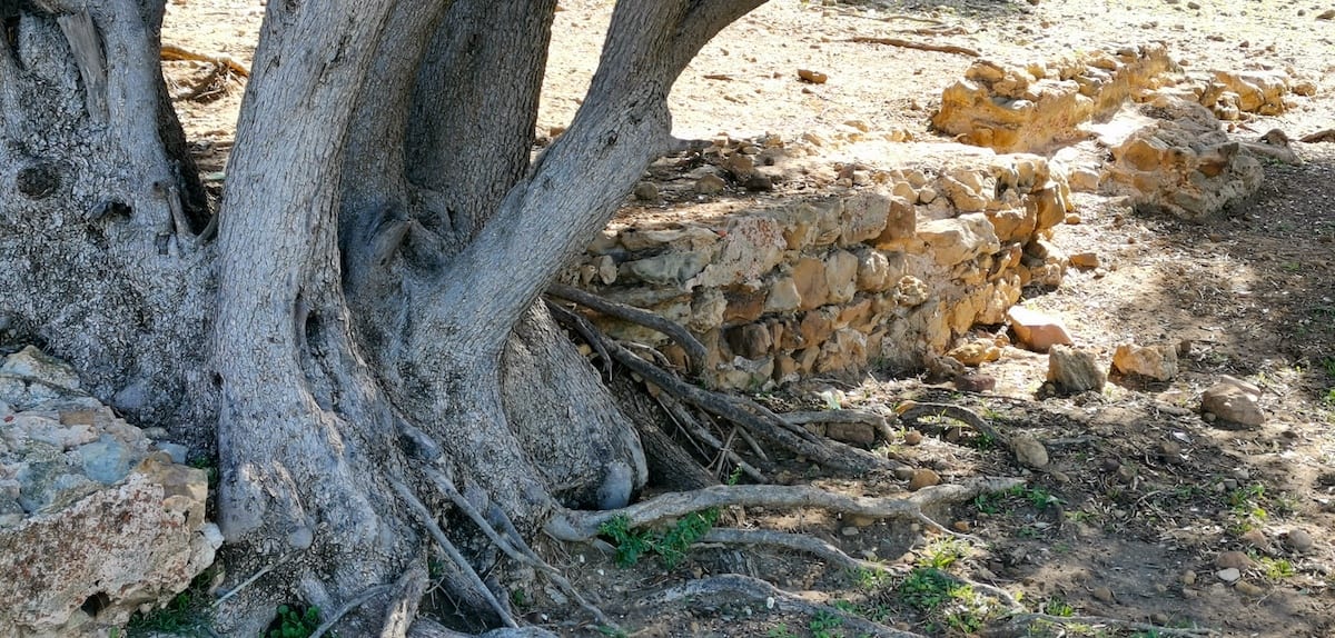 Sidi Rais, Tunesien, Ausgrabungsstätte. Foto: Beate Ziehres, Reiselust-Mag