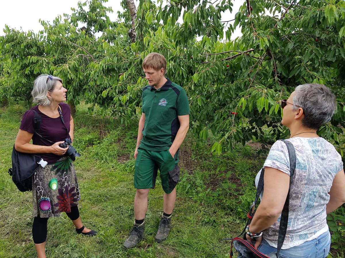 Stendal, Scheunenladen Stallbaum: AltmarkBlogger-Besuch auf der Kirschplantage – Foto: Björn Gäde