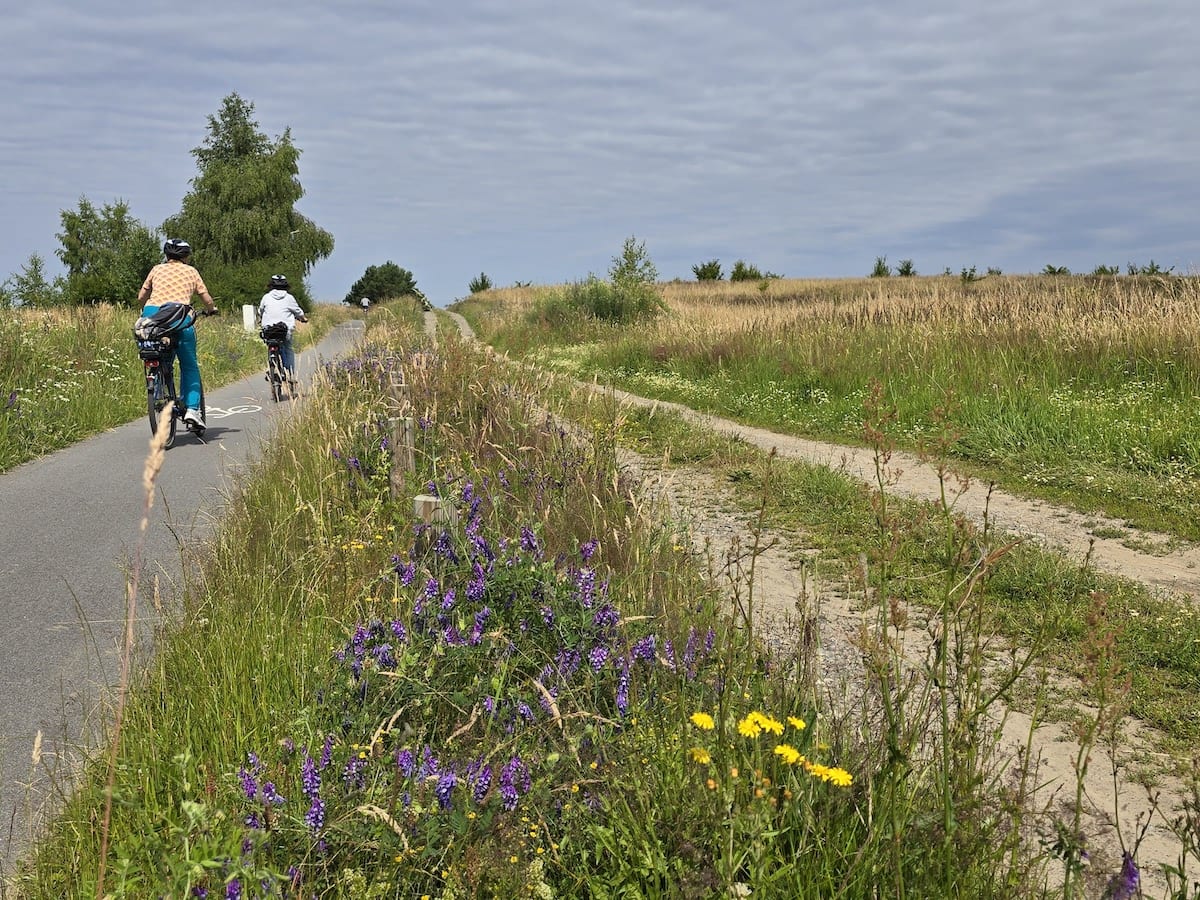 Radweg Stettiner Haff Rundweg. Foto: Beate Ziehres, Reiselust-Mag