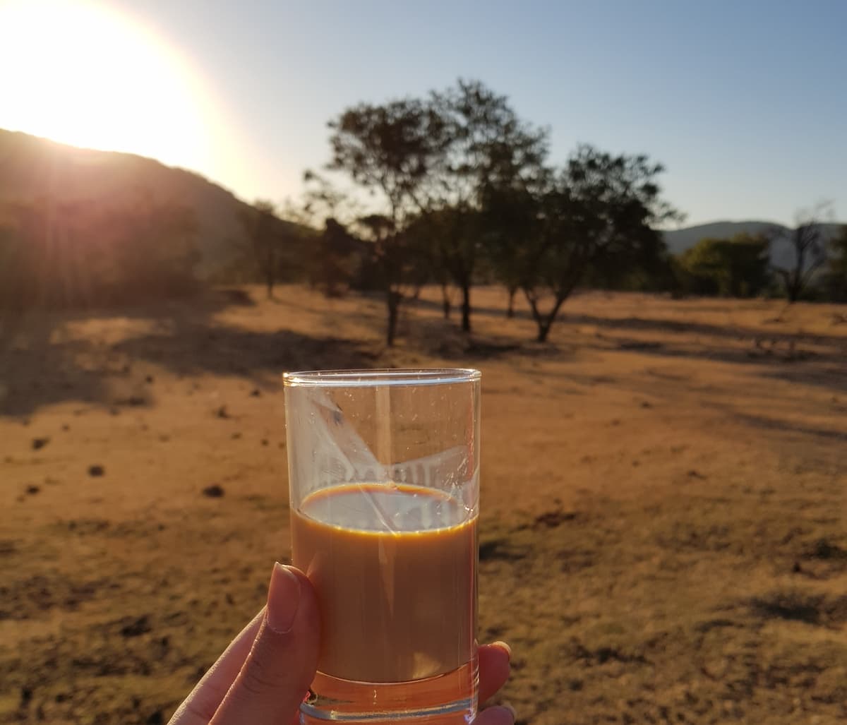 Safari in Südafrika, ChaZen privates Wildreservat: Amarula als Sundowner. Foto: Lena Ziehres