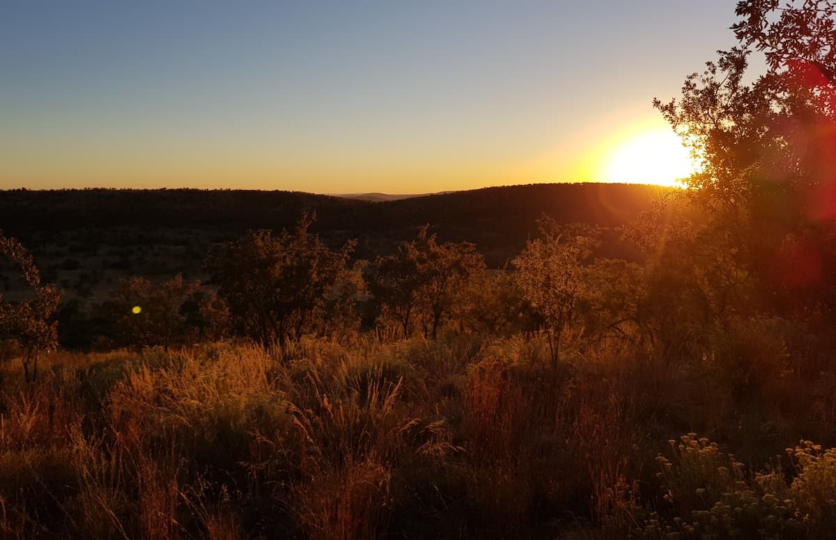 Safari in Südafrika, ChaZen privates Wildreservat: Sonnenuntergang. Foto: Lena Ziehres