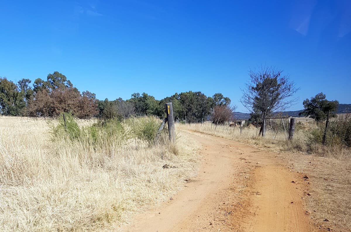 Safari in Südafrika, Zufahrt zu ChaZen Private Game Reserve. Foto: Lena Ziehres