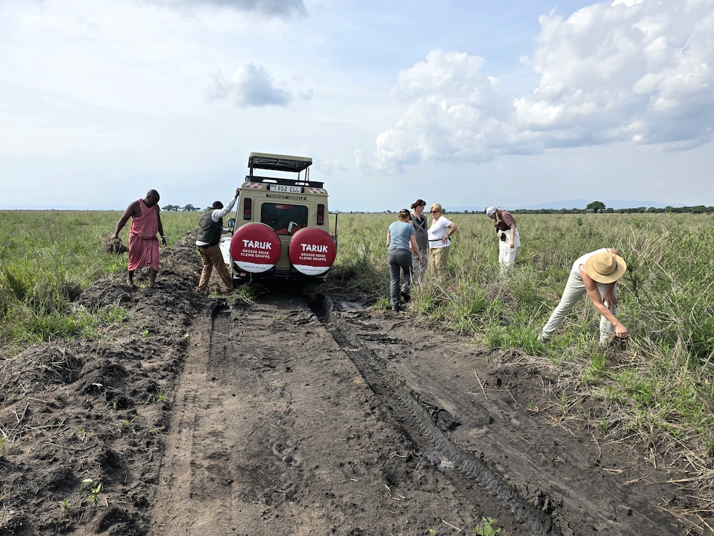 Tarangire Nationalpark Safari: festgefahren. Foto: Beate Ziehres, Reiselust-Mag