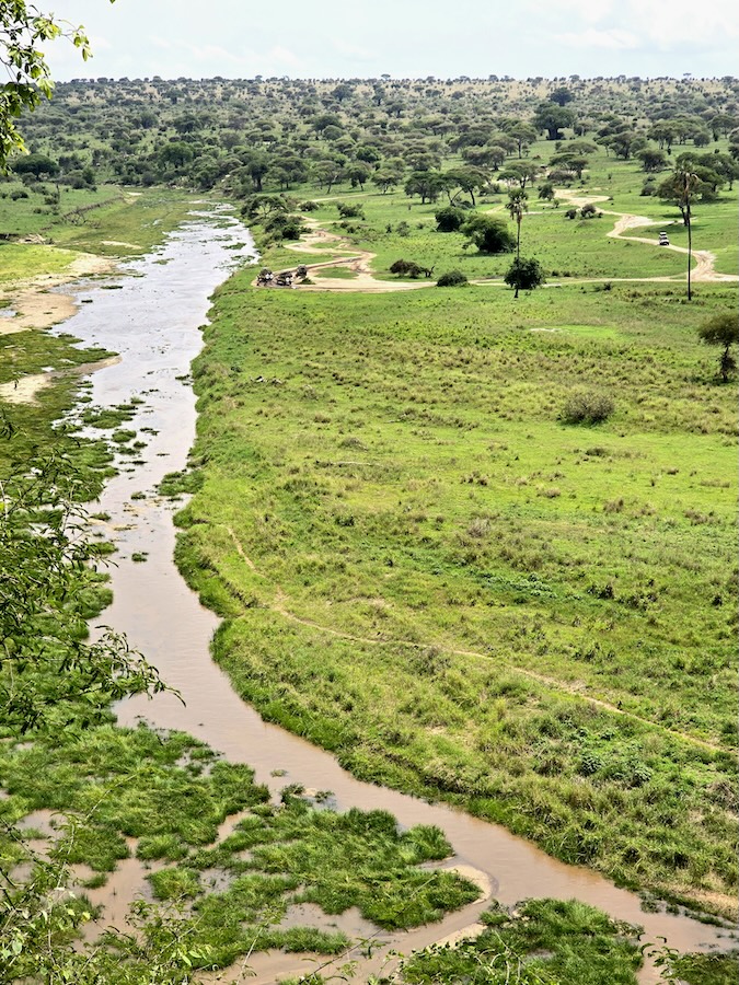 Tarangire Fluss. Foto: Beate Ziehres, Reiselust-Mag