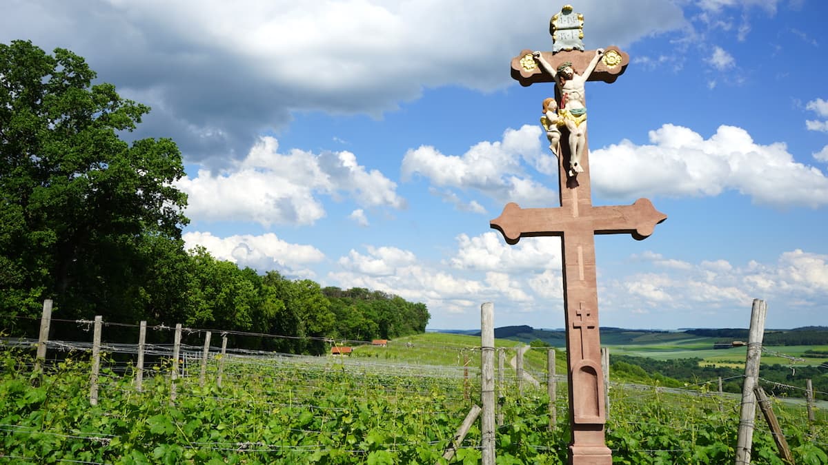 Taubertal: Weinberg Hoher Herrgott in Külsheim – Beate Ziehres