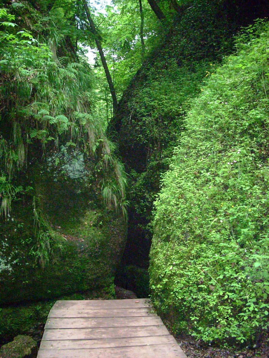 Thüringen: Drachenschlucht bei Eisenach. Foto: Beate Ziehres