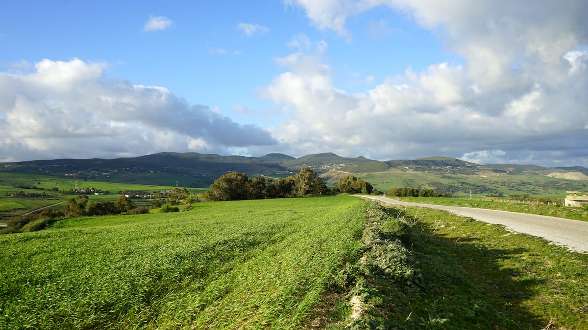 Urlaub: Grüne Landschaft im Norden Tunesiens. Foto: Beate Ziehres