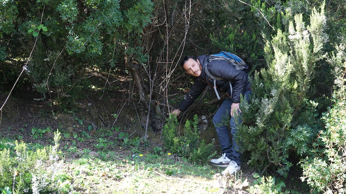 Pfeifenbauer Anis Bouchnak zeigt die Wurzeln der Heide, aus der er Pfeifen herstellt. Foto: Beate Ziehres