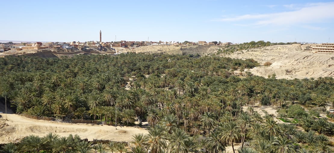 Tunesien Urlaub – Der Palmenhain "La Corbeille" in Nefta im Süden Tunesiens. Foto: Beate Ziehres