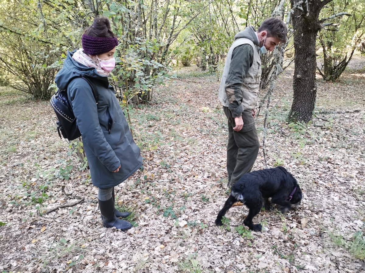 Umbrien Trüffelsuche Tartufi Bianconi. Foto: Beate Ziehres, Reiselust-Mag