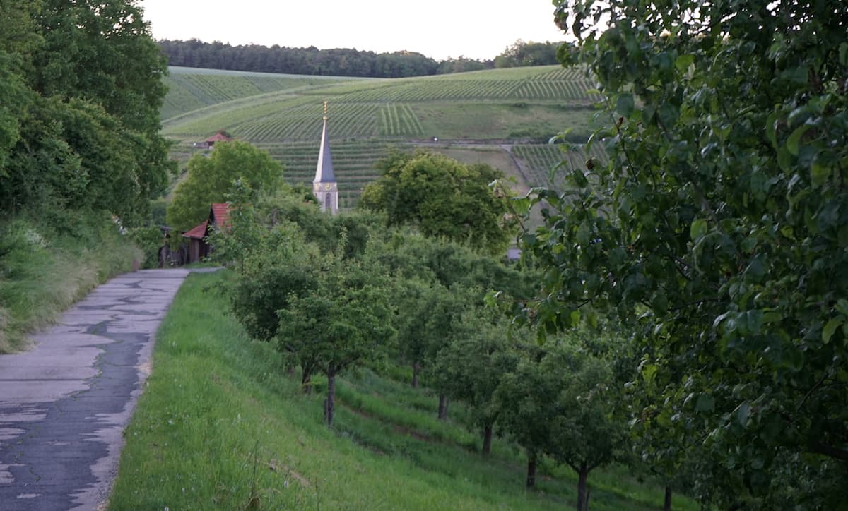 Streuobstwiesen in Beckstein. Foto: Beate Ziehres