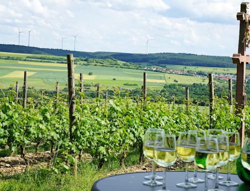 Wein im Taubertal: Tauberschwarz und andere Köstlichkeiten