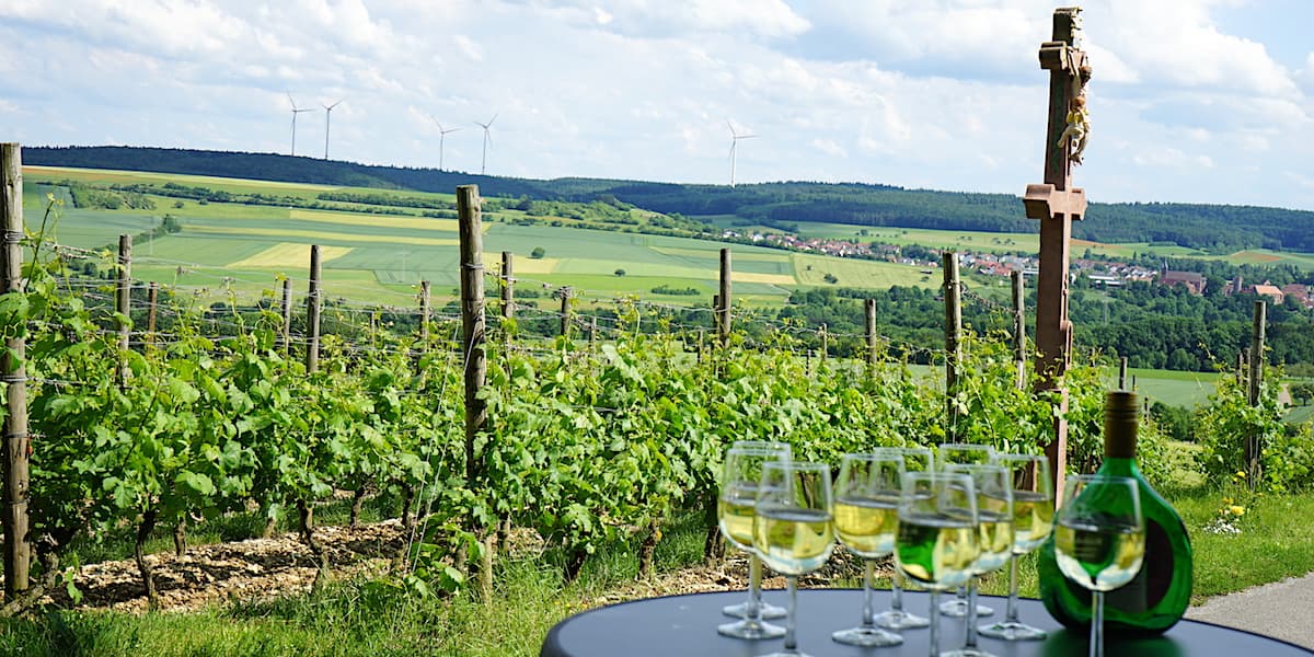 Weinstraße Taubertal: Blick auf die Weinlage "Hoher Herrgott" in Külsheim. Foto: Beate Ziehres