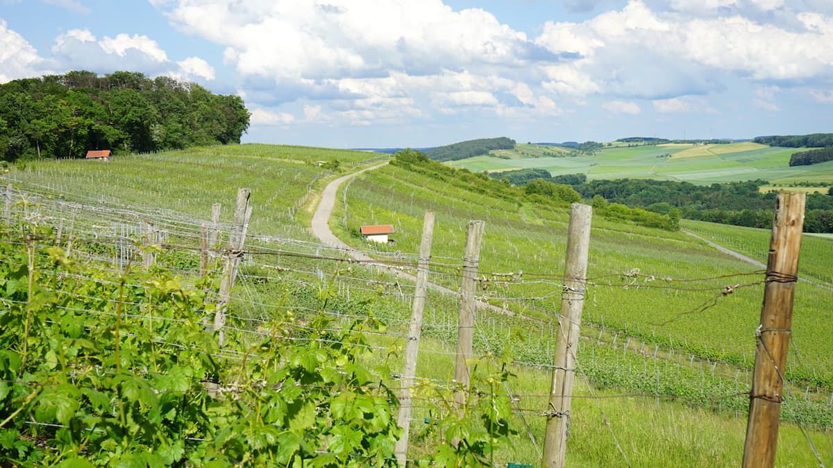 Weinstraße Taubertal: "Hoher Herrgott" in Külsheim. Foto: Beate Ziehres