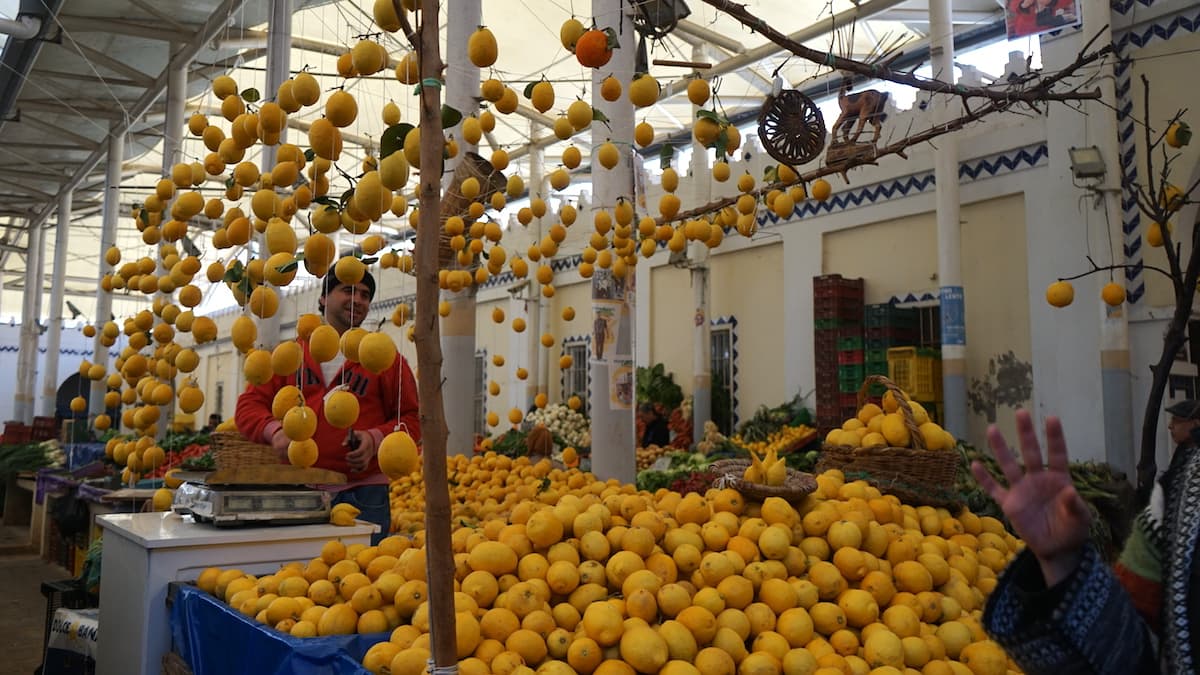 Essen in Tunesien: Zitronen-Händler in Tunis